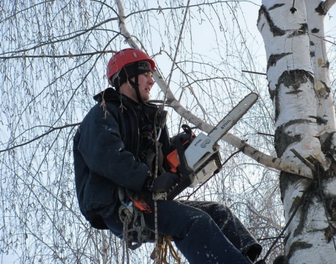 Кронирование, удаление деревьев, 09 марта 2012, г. Малоярославец